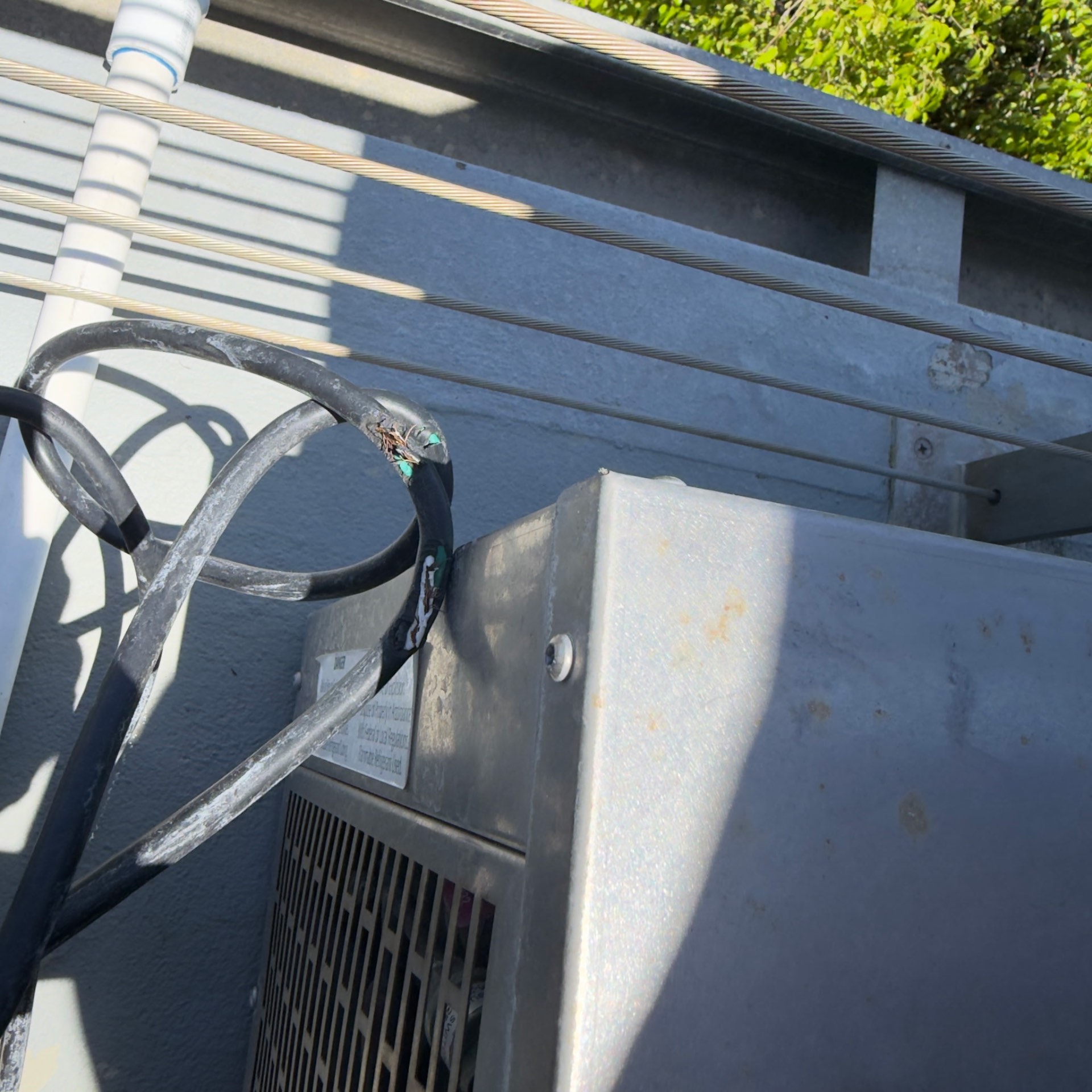 Penguin chiller rewire repair — before