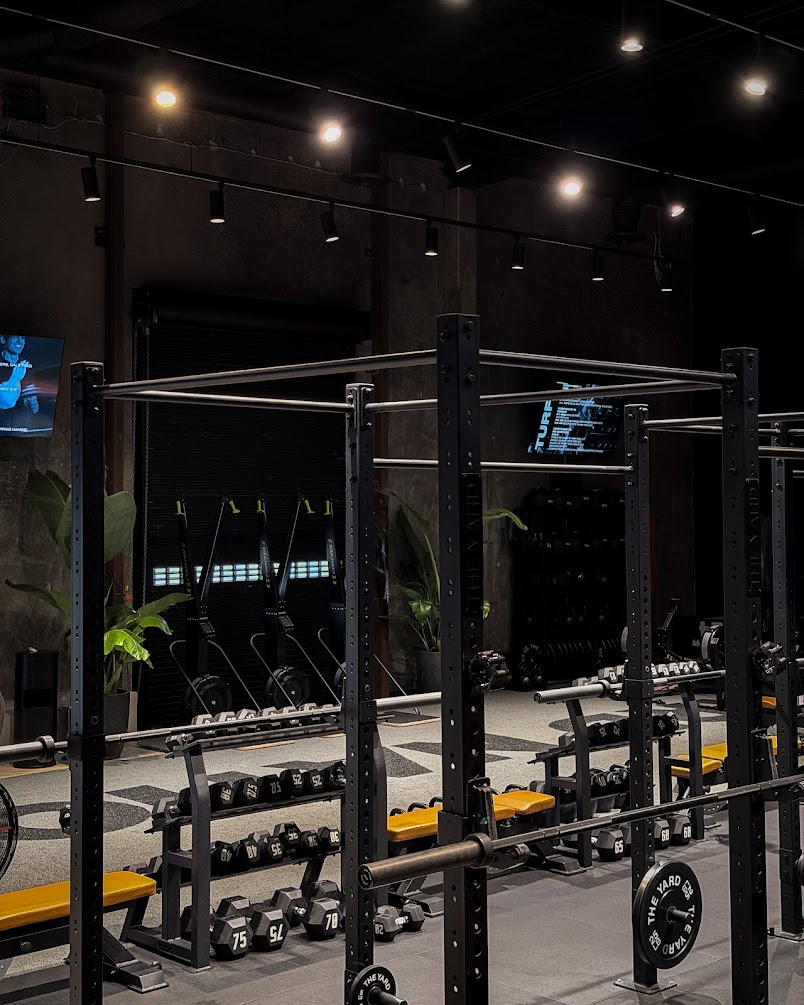 Custom rig and TRX wall